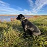 Scott Blankenship's profile picture
