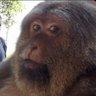 Profilbild von palantir