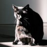 Profilbild von Chuck