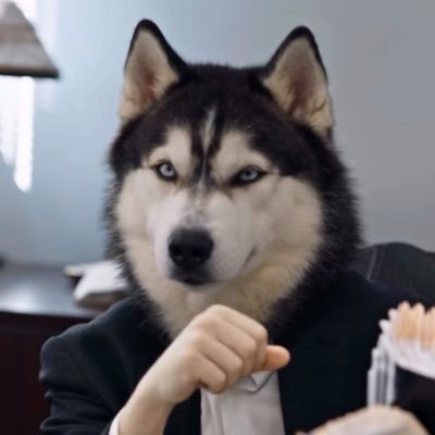 Lulacerda's profile picture