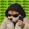 RugDalio 🅿️✨ profil fotoğrafı