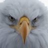 Jim MVR's profile picture