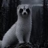 Profilbild von Okojo Essence