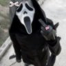 Mell 🎃👻's profile picture