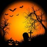 🦇🎃Monsters in Control🎃🦇's profile picture