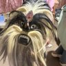 . profil fotoğrafı