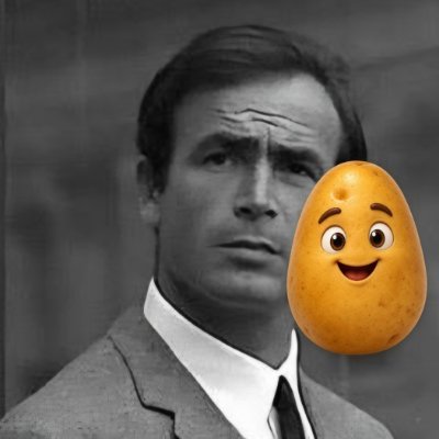 Raoulvol's profile picture