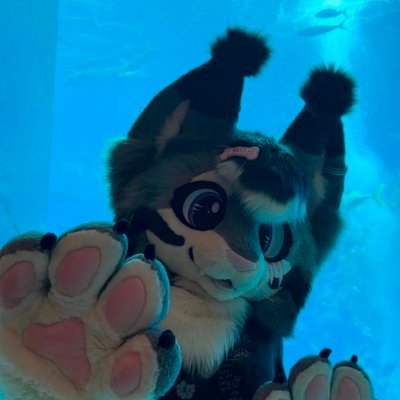 Moon Fawn's profile picture