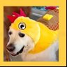 Voodooween 🤍🐔🧇's profile picture