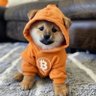 Mindset | Investor's profile picture