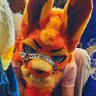 Sunny's profile picture