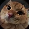 🐈⬛ profil fotoğrafı