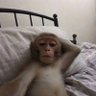 jussi profil fotoğrafı