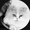 ⚖️'s profile picture