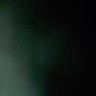 ..../ profil fotoğrafı