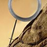 ⚔️Sword of The Day⚔️ profil fotoğrafı