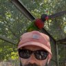 Jason Walls's profile picture