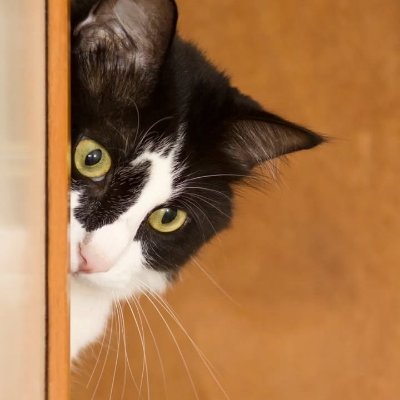 Desiree90738216's profile picture