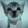 tella's profile picture