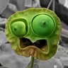 Profilbild von Alabaster Purl