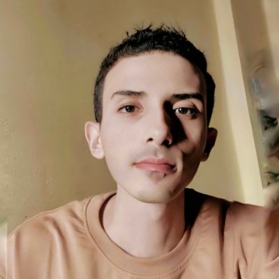 ahmedelkadyx's profile picture