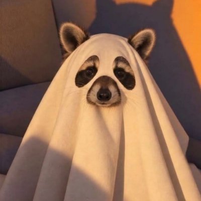 Spooky Cap's profile picture