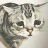 maidkedi profil fotoğrafı