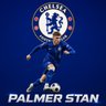 Palmer Stan profil fotoğrafı