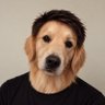 Profilbild von Tibo