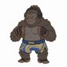 格闘ゴリラ🦍 的头像