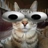 Georgg''s profile picture