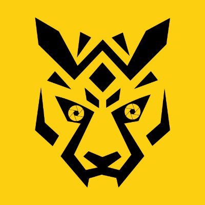 IttiStudio's profile picture