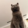 Hao's profile picture