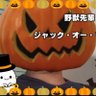 あ's profile picture