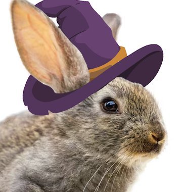 TePeS101's profile picture
