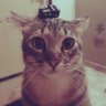 ۟'s profile picture
