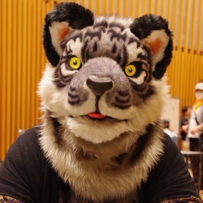 DDWolfs's profile picture