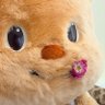Nong Noey’s Mom🧸‧:❉:‧'s profile picture