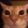 Profilbild von Mai una gioia