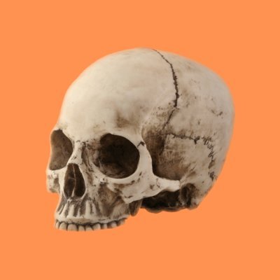esqueletosgays's profile picture