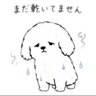 kohi's profile picture