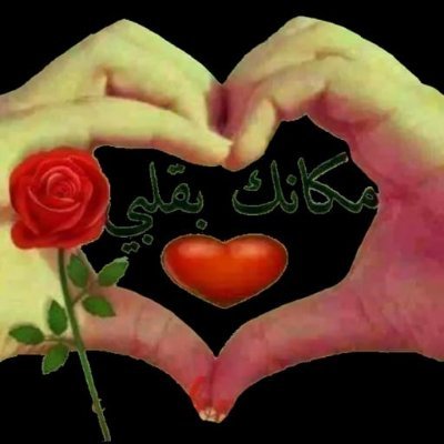 ​​لحن الوجود ♕'s profile picture
