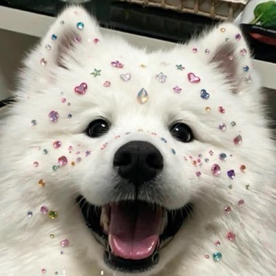 pepiyear's profile picture