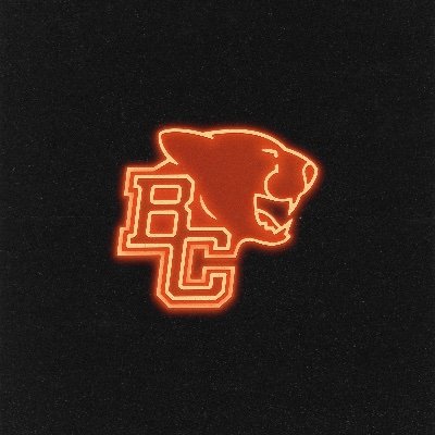 BCLions's profile picture