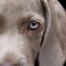 Arnetta's profile picture