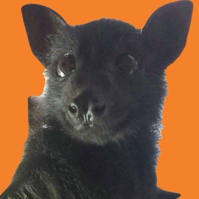 battwting's profile picture