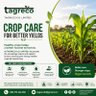 tagreco's profile picture