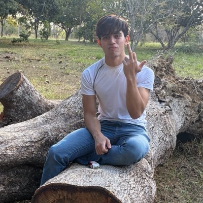 galdannn's profile picture