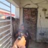 Muhib profil fotoğrafı