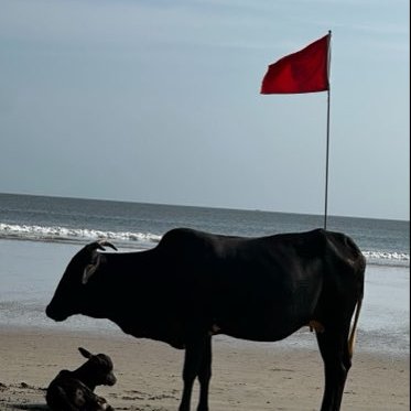 RubY's profile picture